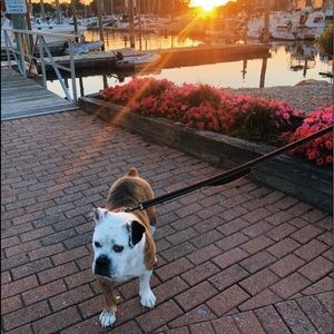 Meet your Posher, Caitlin